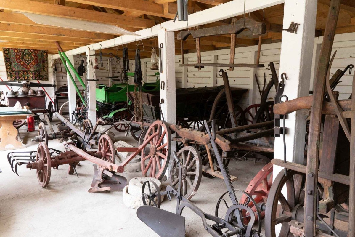 Evocarea satului românesc în Câmpia Brăilei 123320