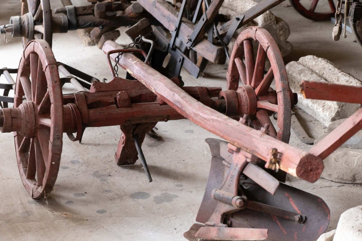 Evocarea satului românesc în Câmpia Brăilei 123321