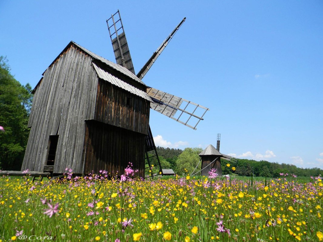 Muzee ale satului de pe întreg cuprinsul ţării 123461