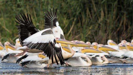 P e r s p e c t i v e: Un exerciţiu de antropologie culturală creştină la Maliuc 123451