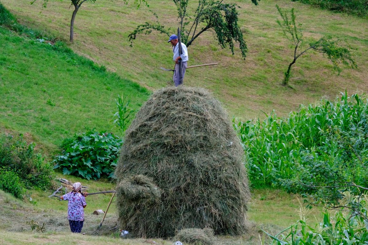 Ponoarele, satul care vine direct din legendă 123432