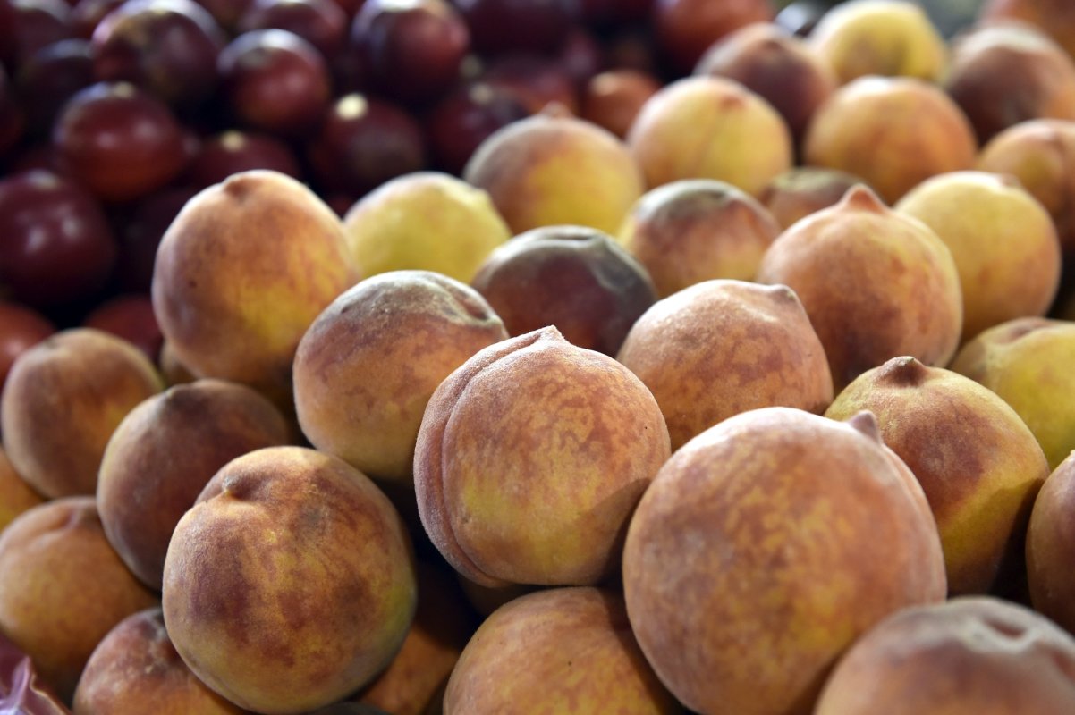 Finanţare pentru procesarea fructelor 123960