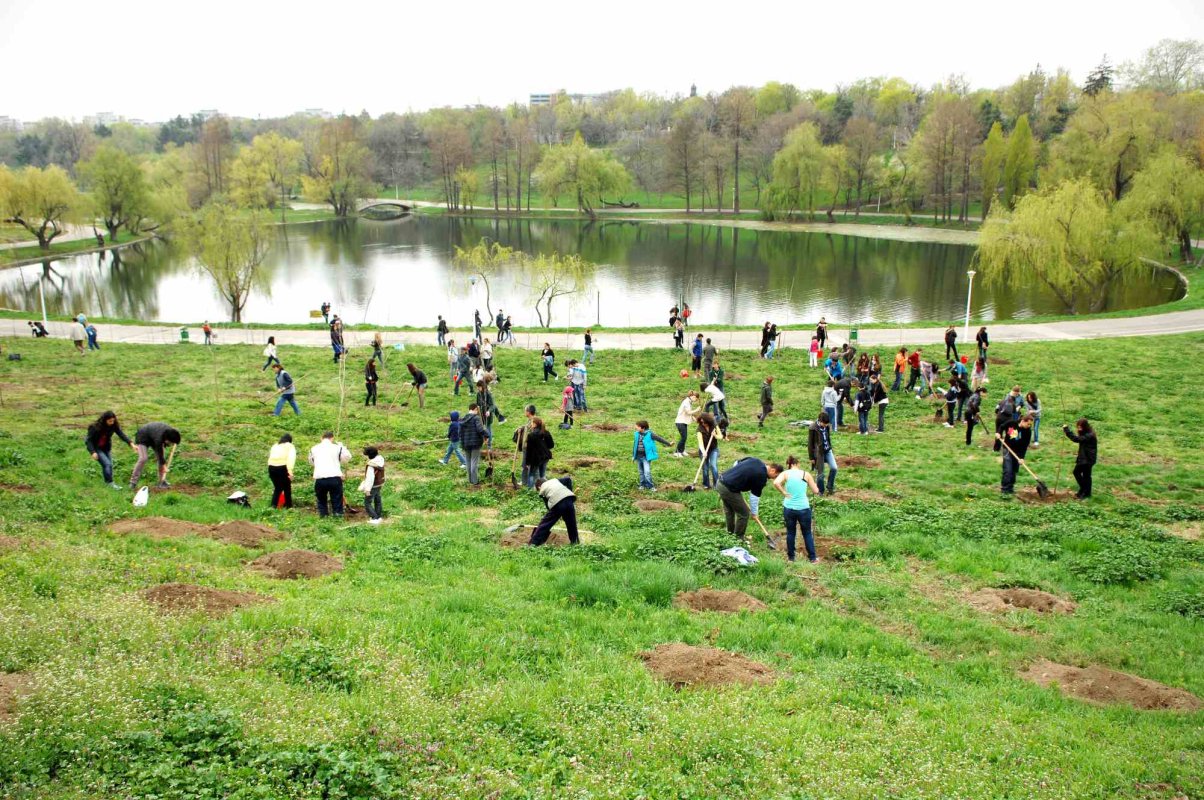 Program pentru voluntarii  de mediu 124285