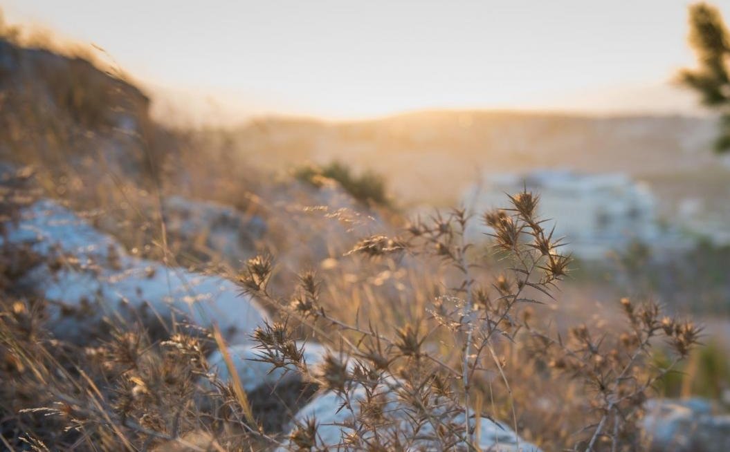 Focul și iradierea patimii 125026