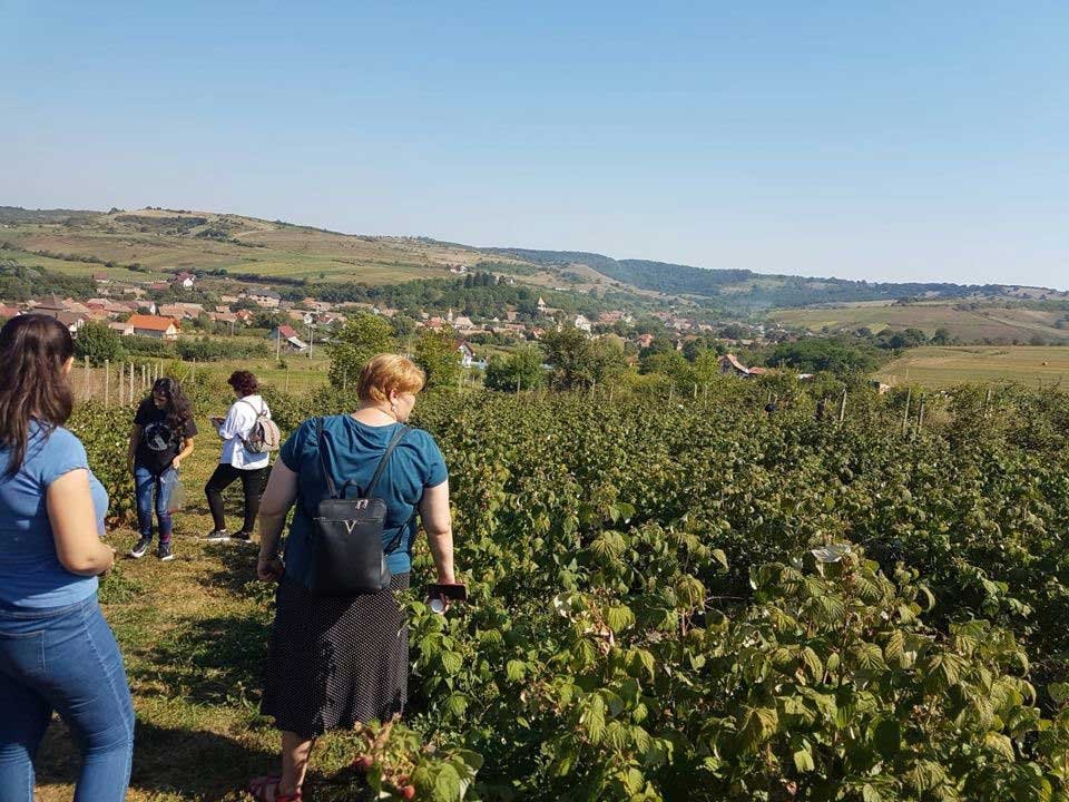 Activități cu elevii din taberele Universității „Lucian Blaga” 125201