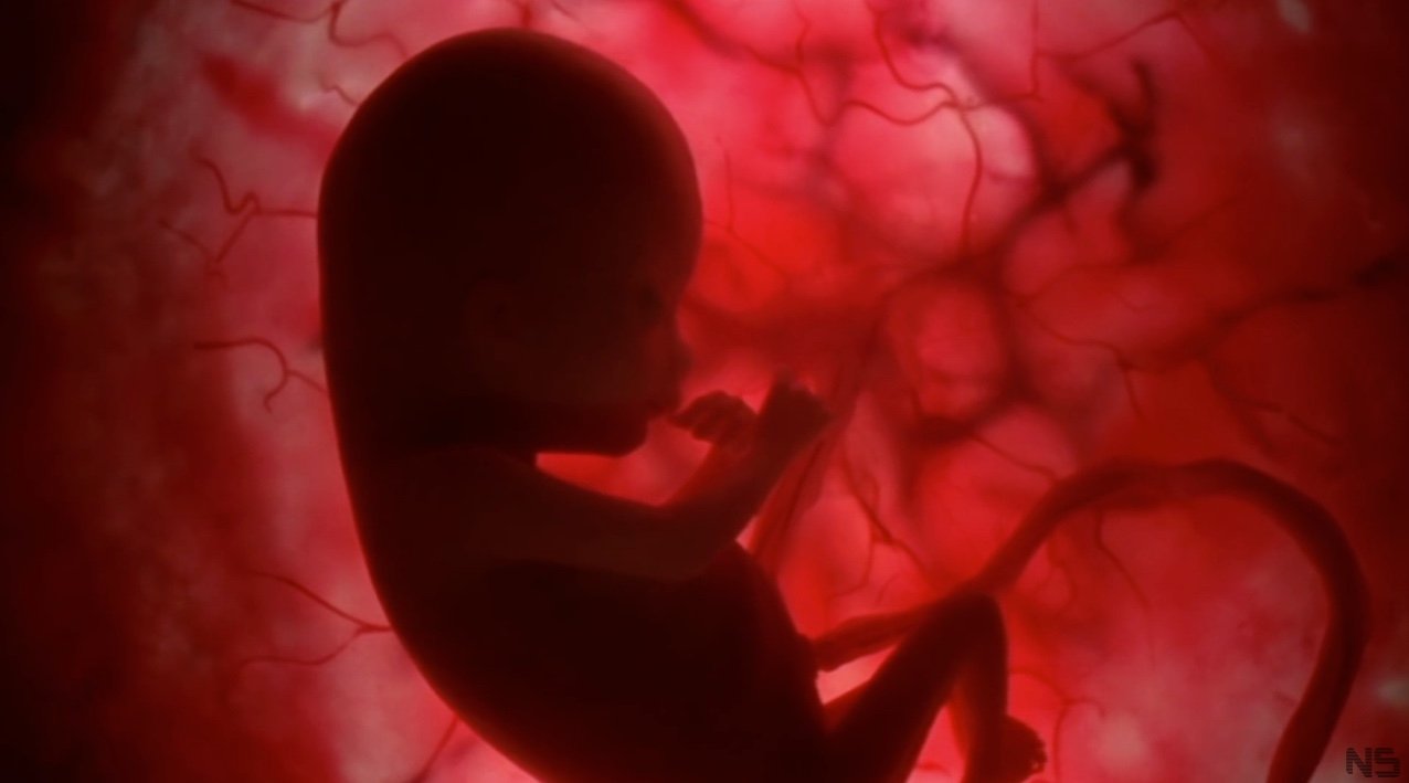 Biserica Ortodoxă a Greciei dedică o zi copiilor încă nenăscuți 125262