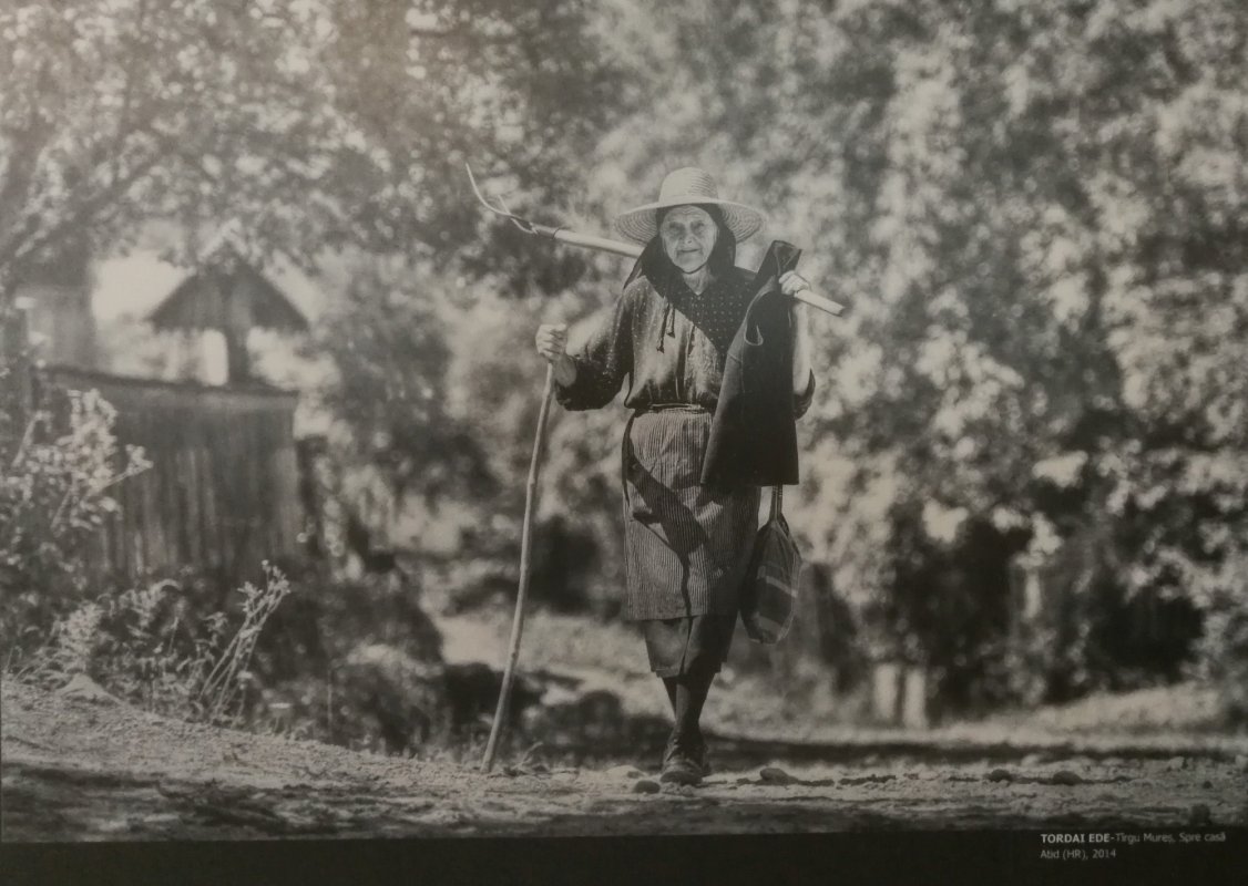 Satul românesc în ipostaze contemporane 125891