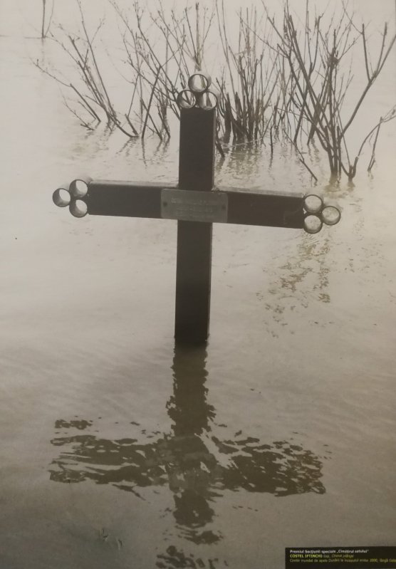 Satul românesc în ipostaze contemporane 125898