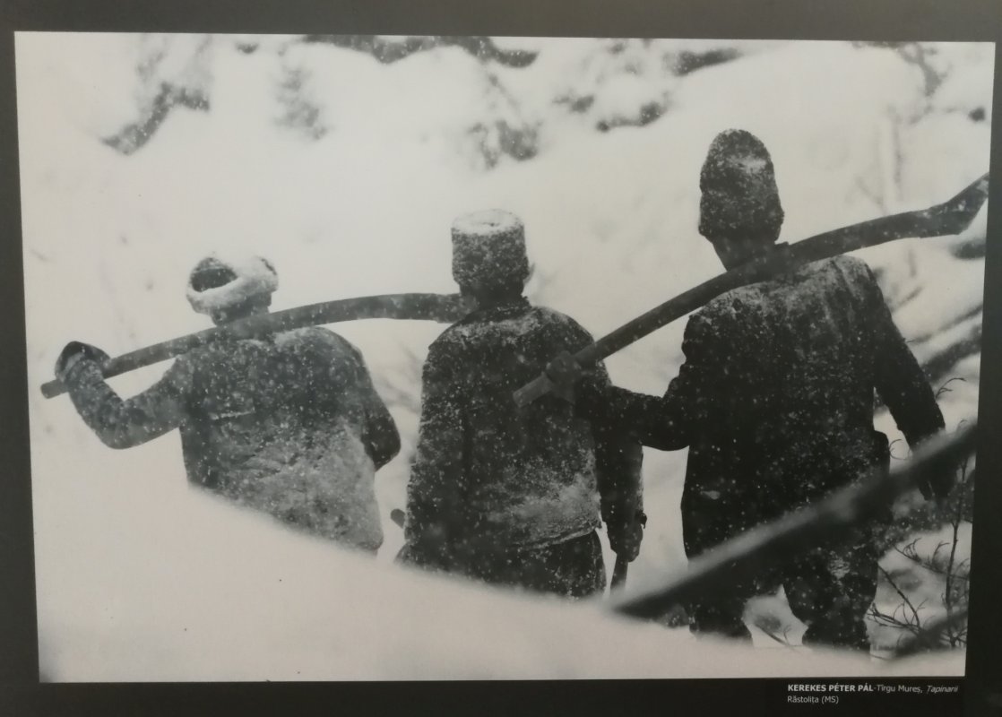 Satul românesc în ipostaze contemporane 125907