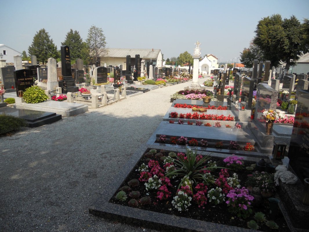 Localitatea care nu vrea să-și piardă identitatea rurală 125938