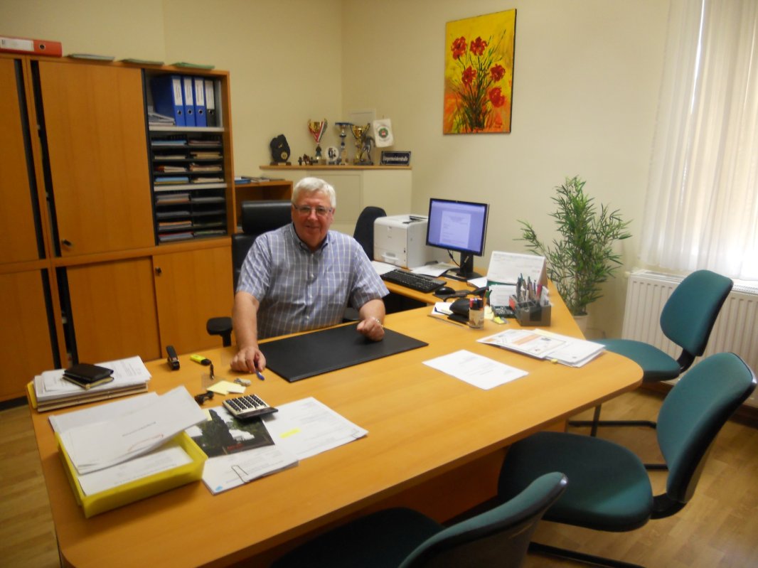 Localitatea care nu vrea să-și piardă identitatea rurală 125945