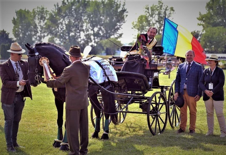 Un cal din Beclean, campion mondial 126200