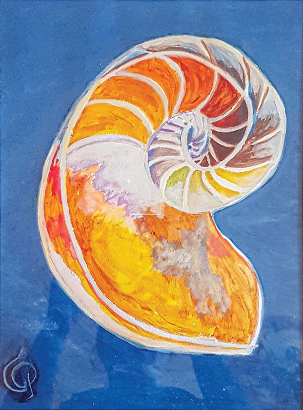 Frumusețea matematicii din universul lui Dumnezeu 125787