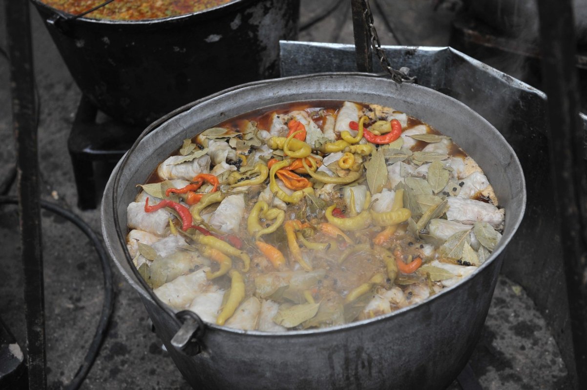 Festival al Peştelui la Brăila 126692