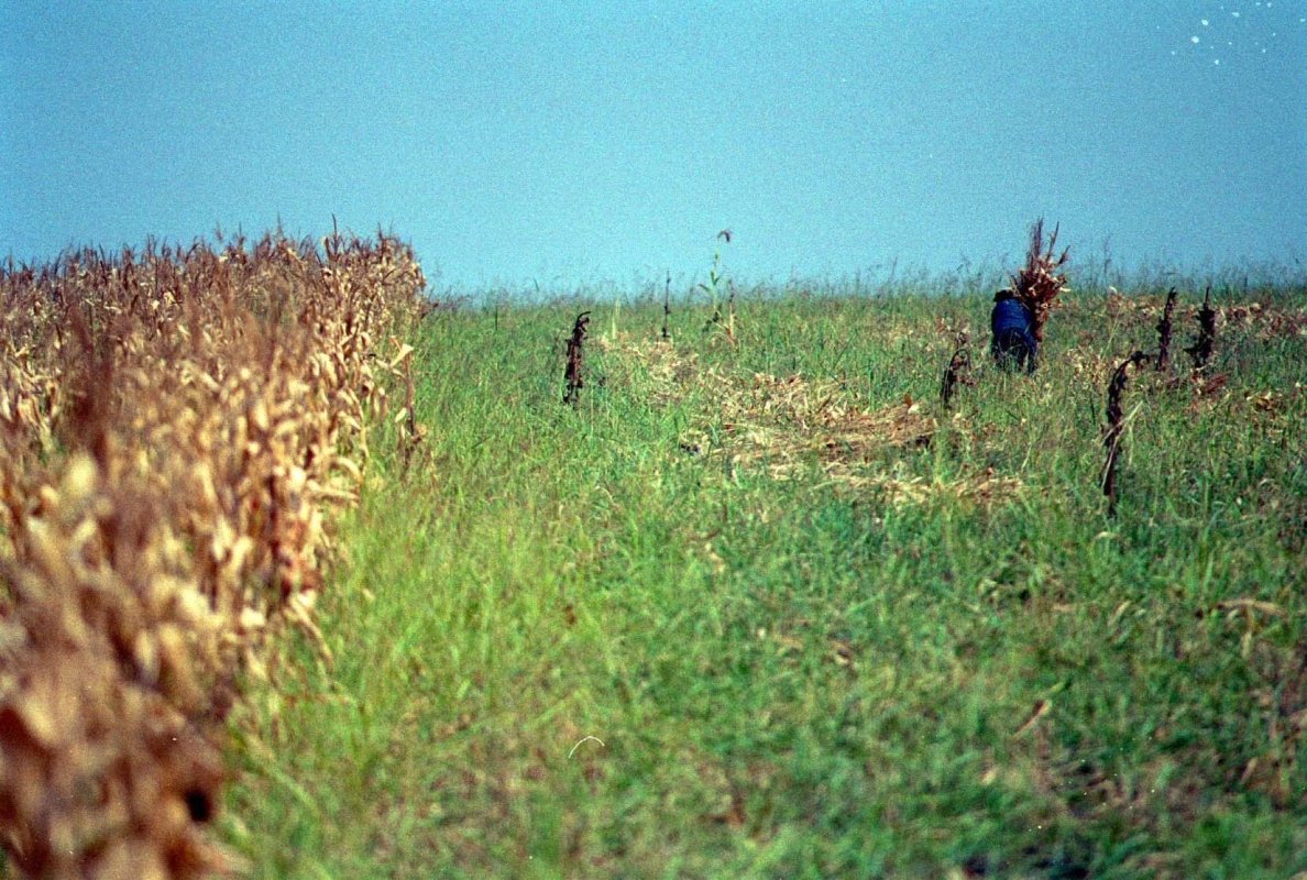 Seceta îngreunează lucrările de toamnă 126693