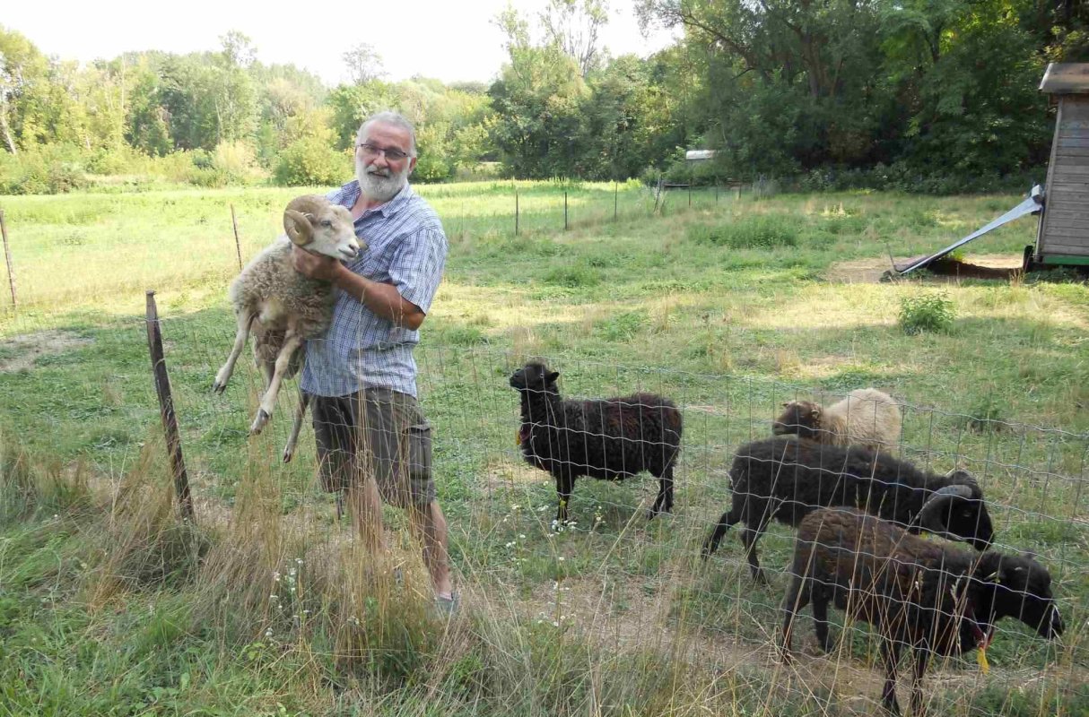 Țăranul care a făcut  din hobby-ul său o afacere 126598