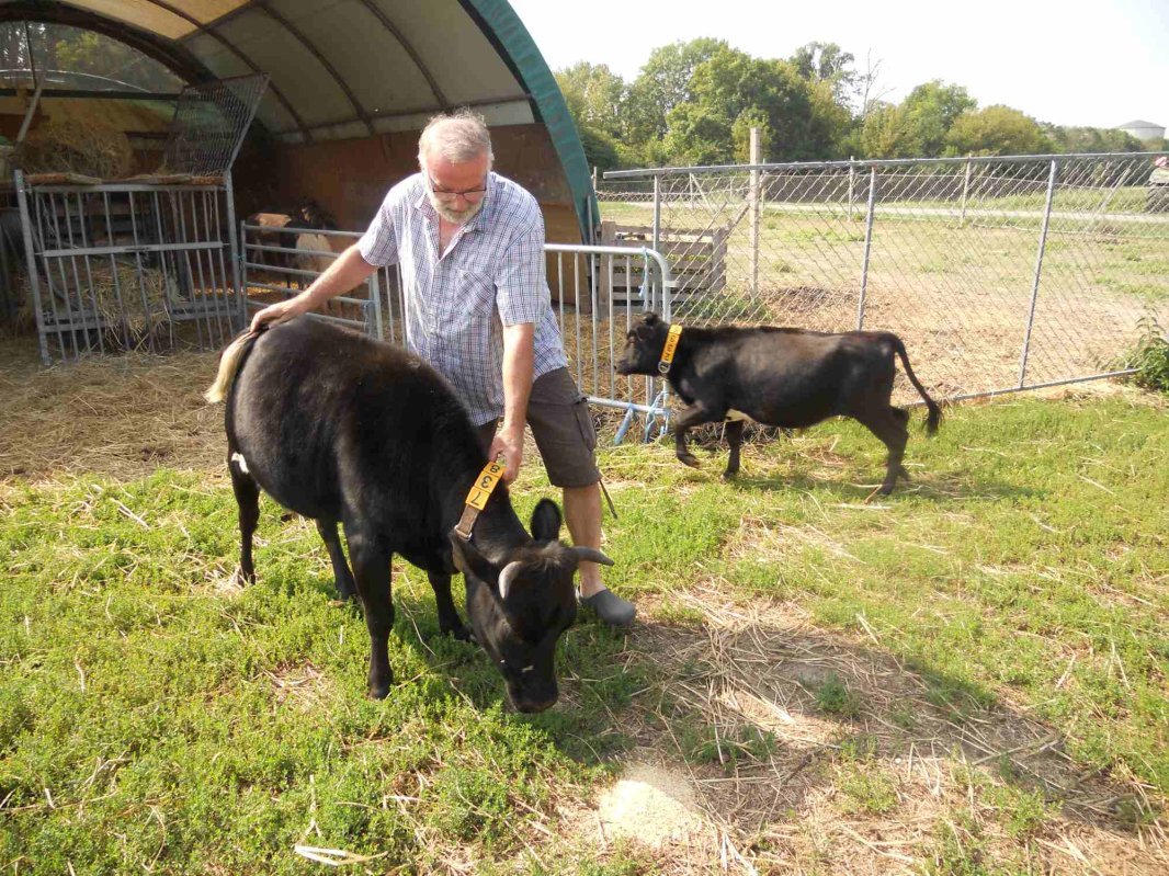 Țăranul care a făcut  din hobby-ul său o afacere 126600