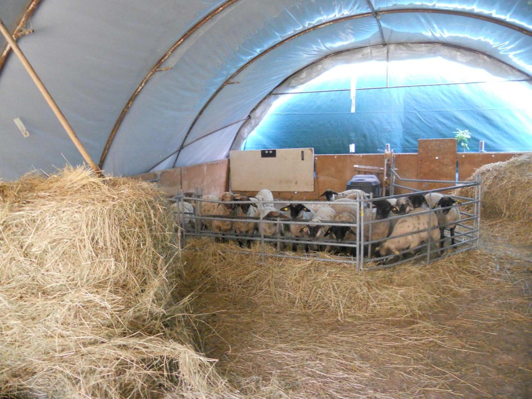 Țăranul care a făcut  din hobby-ul său o afacere 126603