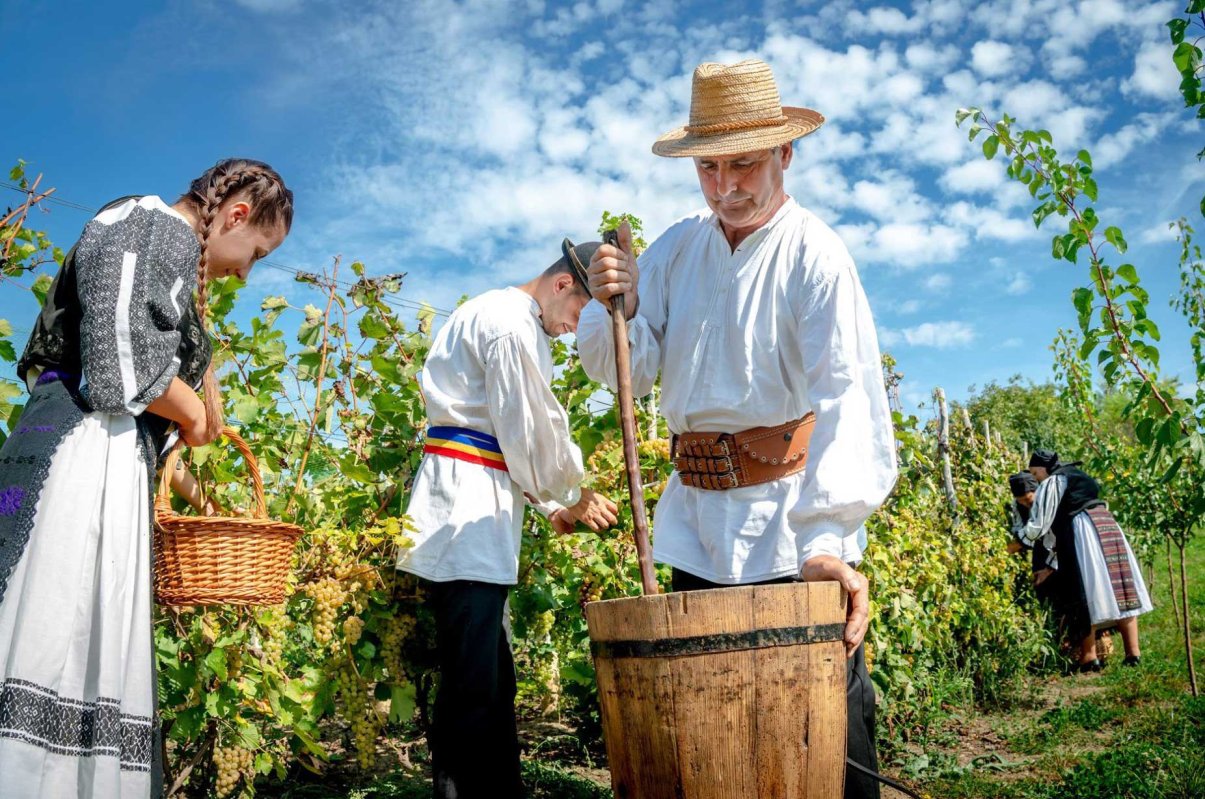 Cercetare și expoziție de fotografie etnografică despre viticultura din județul Alba 126848