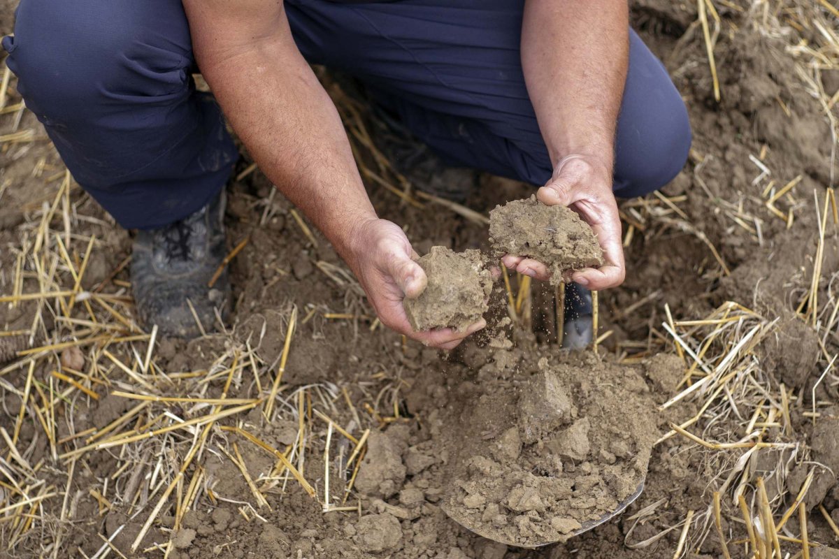 Centru European de Agrometeorologie, în România 126901