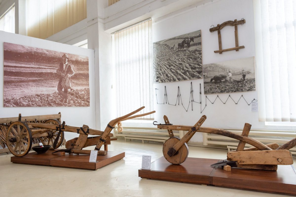 O istorie spusă prin unelte și mașini agricole 126878