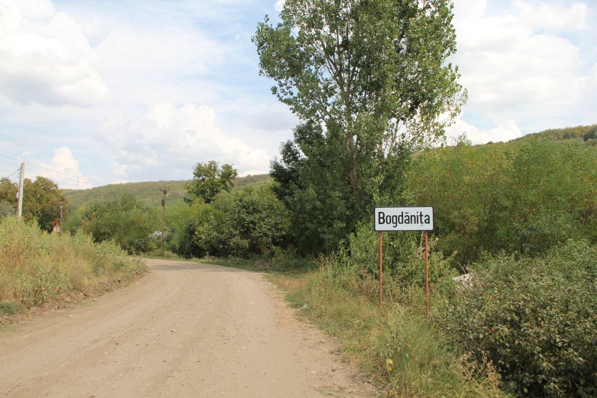 Doi tineri cultivă 120 de soiuri  de tomate la Bogdăniţa 127153