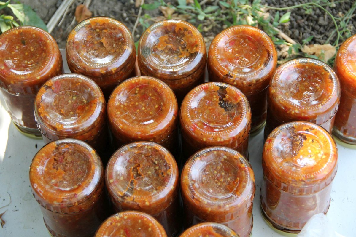 Doi tineri cultivă 120 de soiuri  de tomate la Bogdăniţa 127154