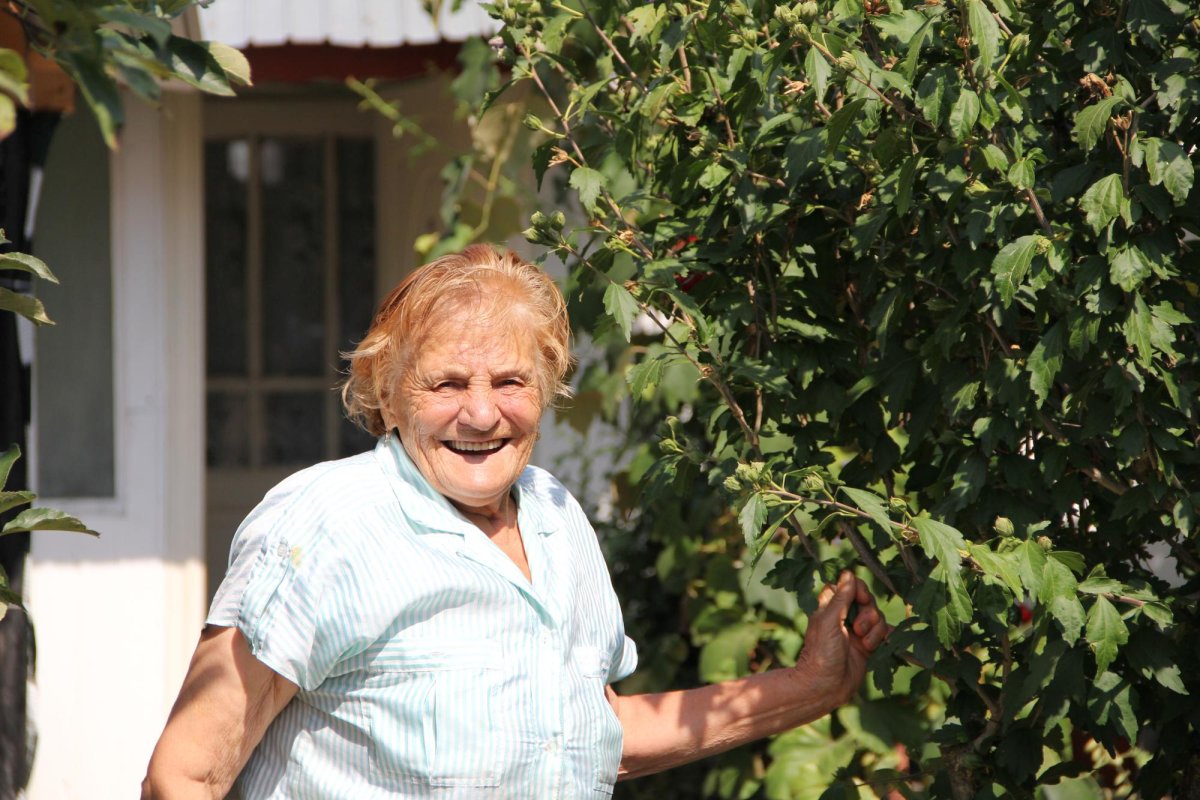 Doi tineri cultivă 120 de soiuri  de tomate la Bogdăniţa 127155