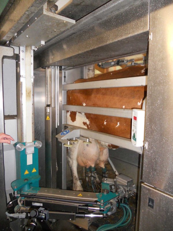 Traunwalchen, un sat bavarez care dă viitor trecutului 127062