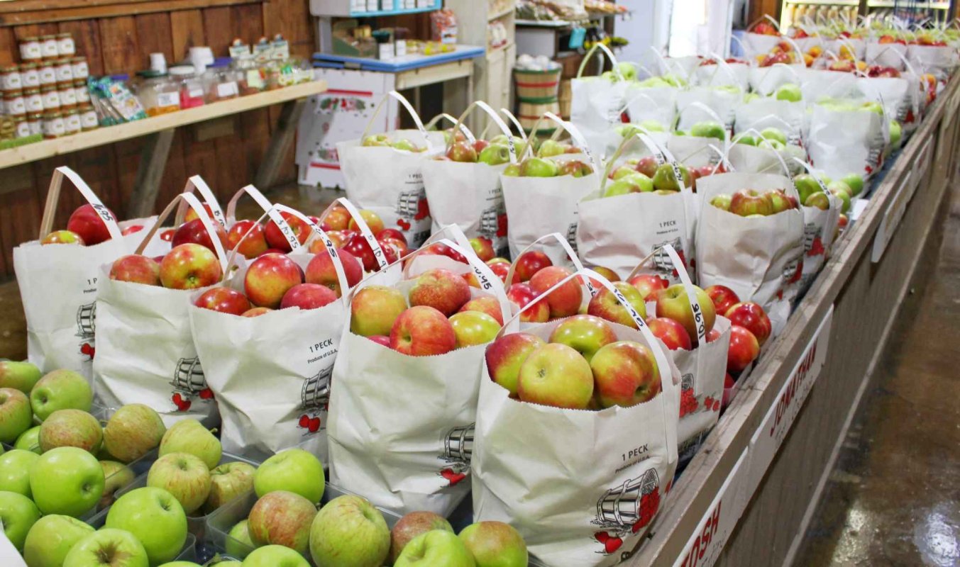 Românii ar prefera pungile biodegradabile 128107