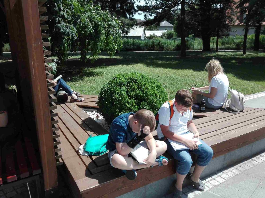 Tinerii din Rădăuți schimbă orașul prin lectură 128115