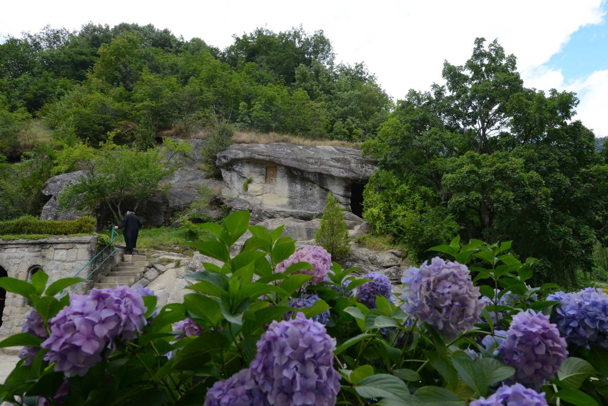 Sfinţii Cuvioşi Daniil şi Misail, căutarea desăvârşirii 128236