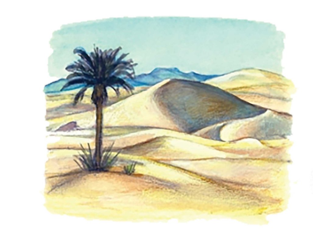 „Éditions du desert”, efort și dăruire în slujba spiritualității ortodoxe 127702