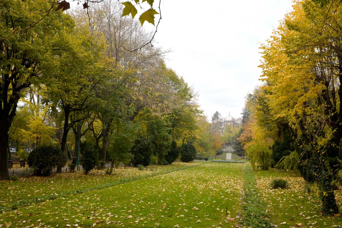 De mâine, temperaturi în creştere 128394