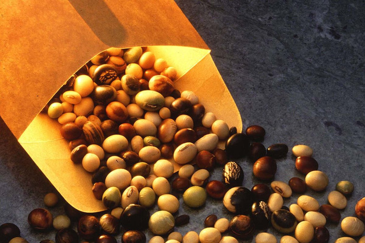 Soia, sursa completă de proteine 128688