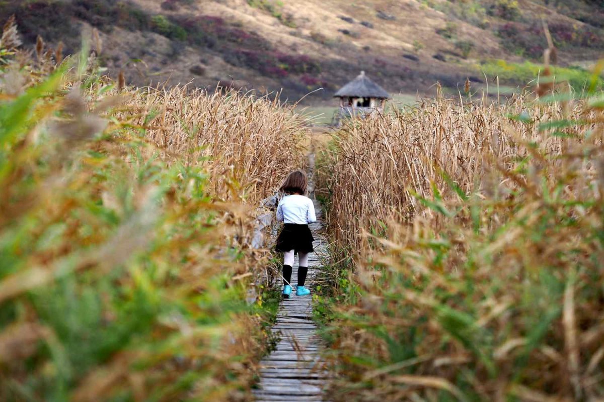 Stufărişul de la Sic, „delta” din inima Transilvaniei 128682