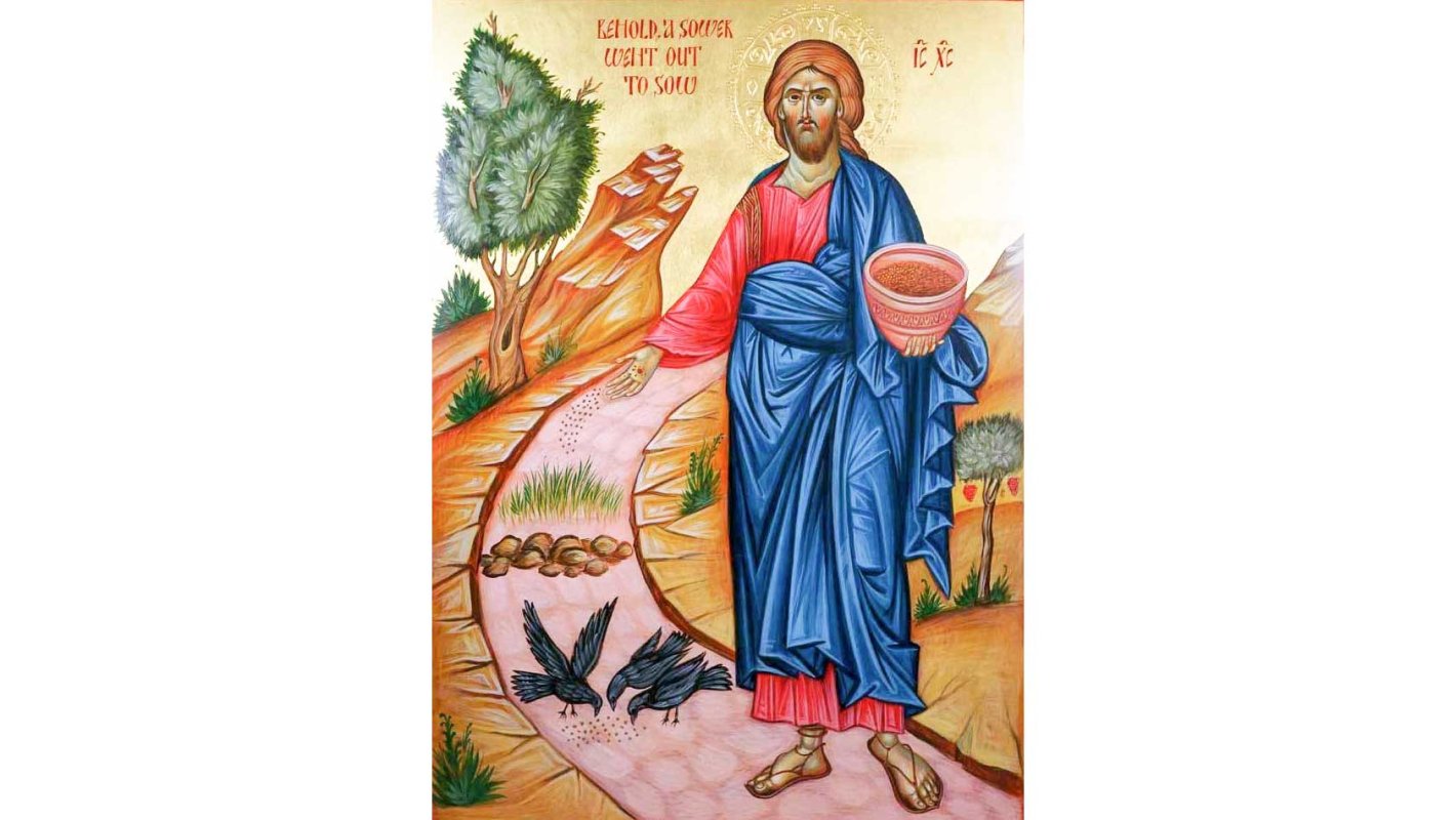 Sămânța are putere de rodire în sine. Să n-o zădărnicim! 128348