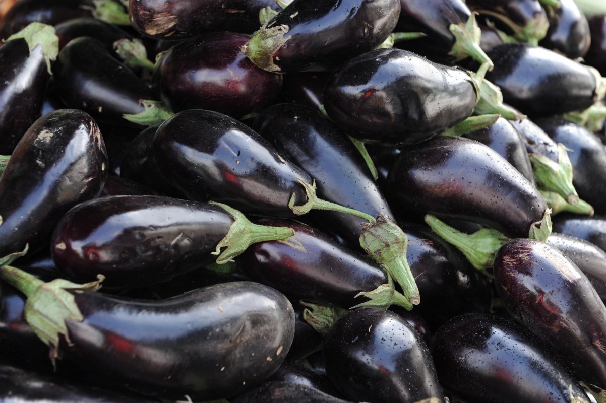 Vânăta, un bun tămăduitor cardiac 129441