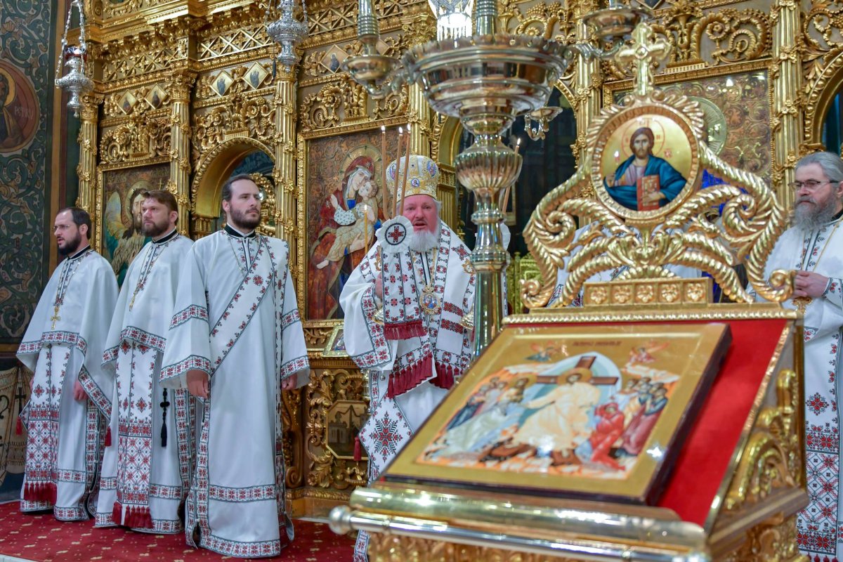 Recunoștința, o virtute care umanizează 129711