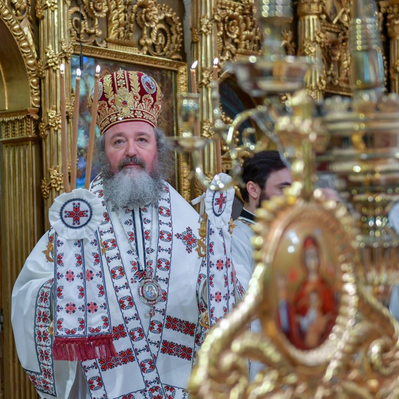 Recunoștința, o virtute care umanizează 129712