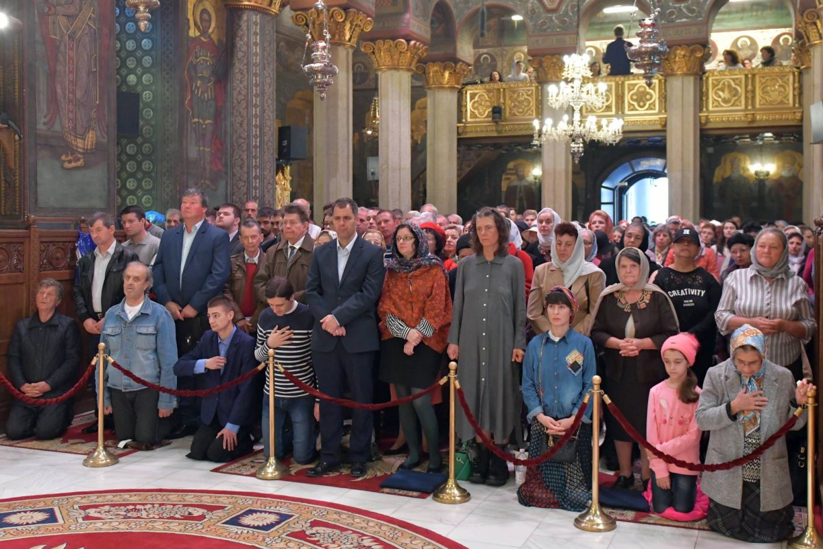 Recunoștința, o virtute care umanizează 129713