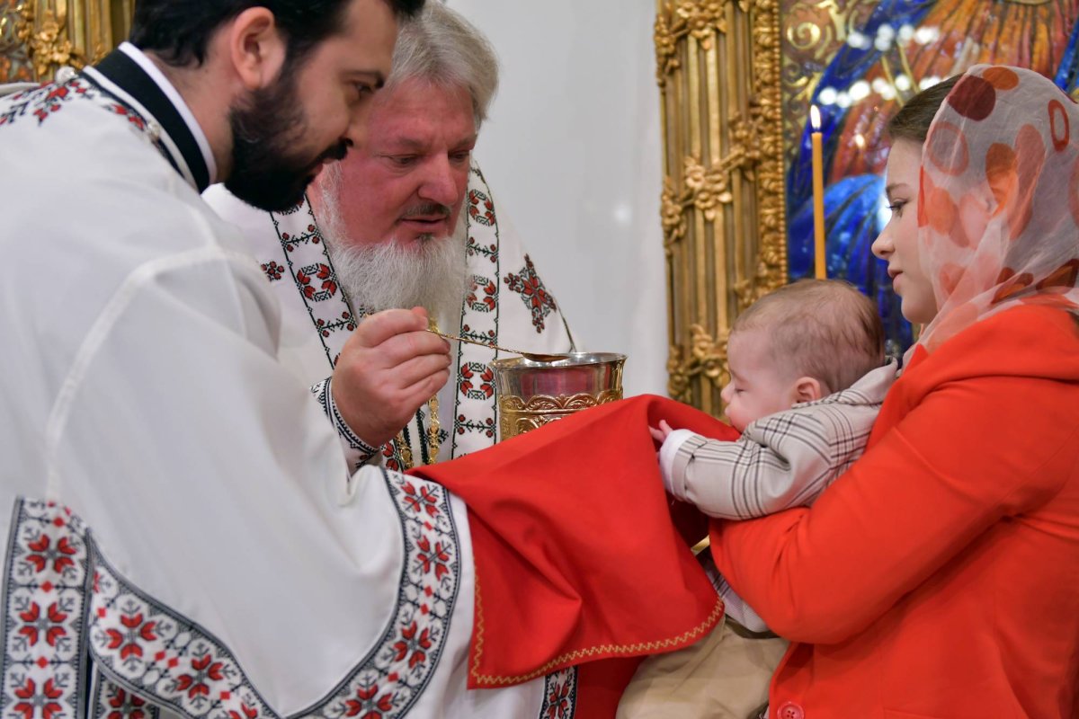 Recunoștința, o virtute care umanizează 129740