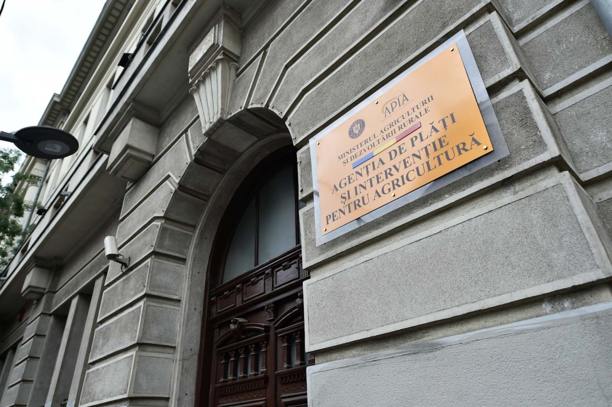 Plăţi pentru motorină 129963