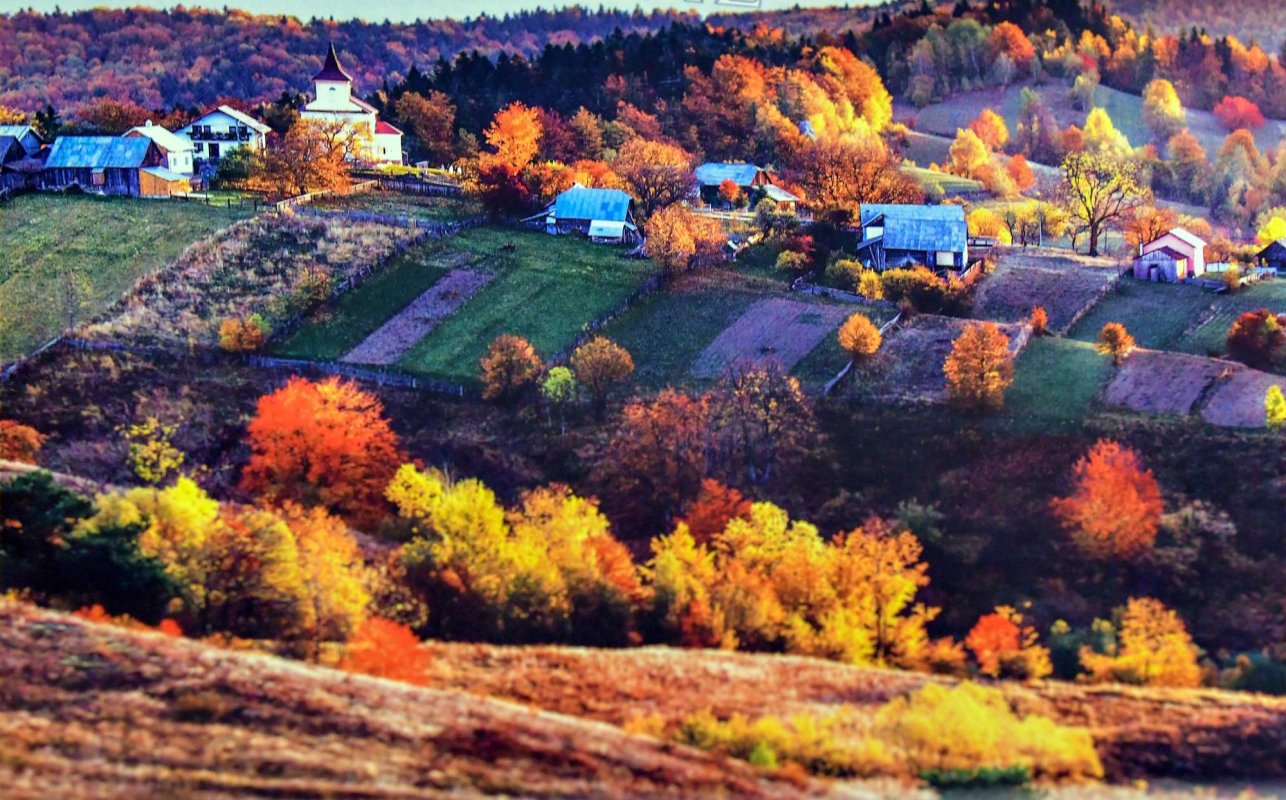 Valori etnopedagogice ale satului românesc 129975