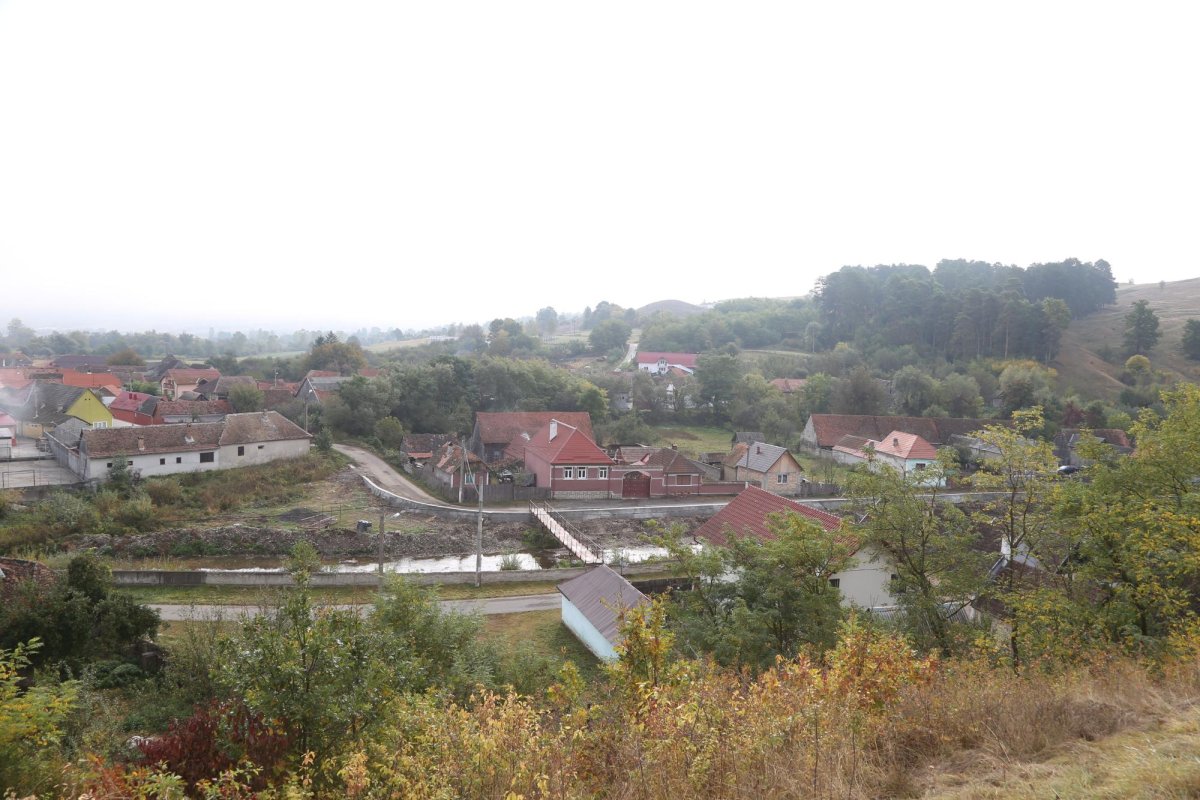 Bogata Olteană, satul cu o catedrală a simțământului românesc 129999