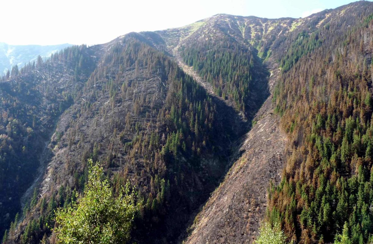 Un nou refugiu în Munţii Pietrosul Rodnei 130183