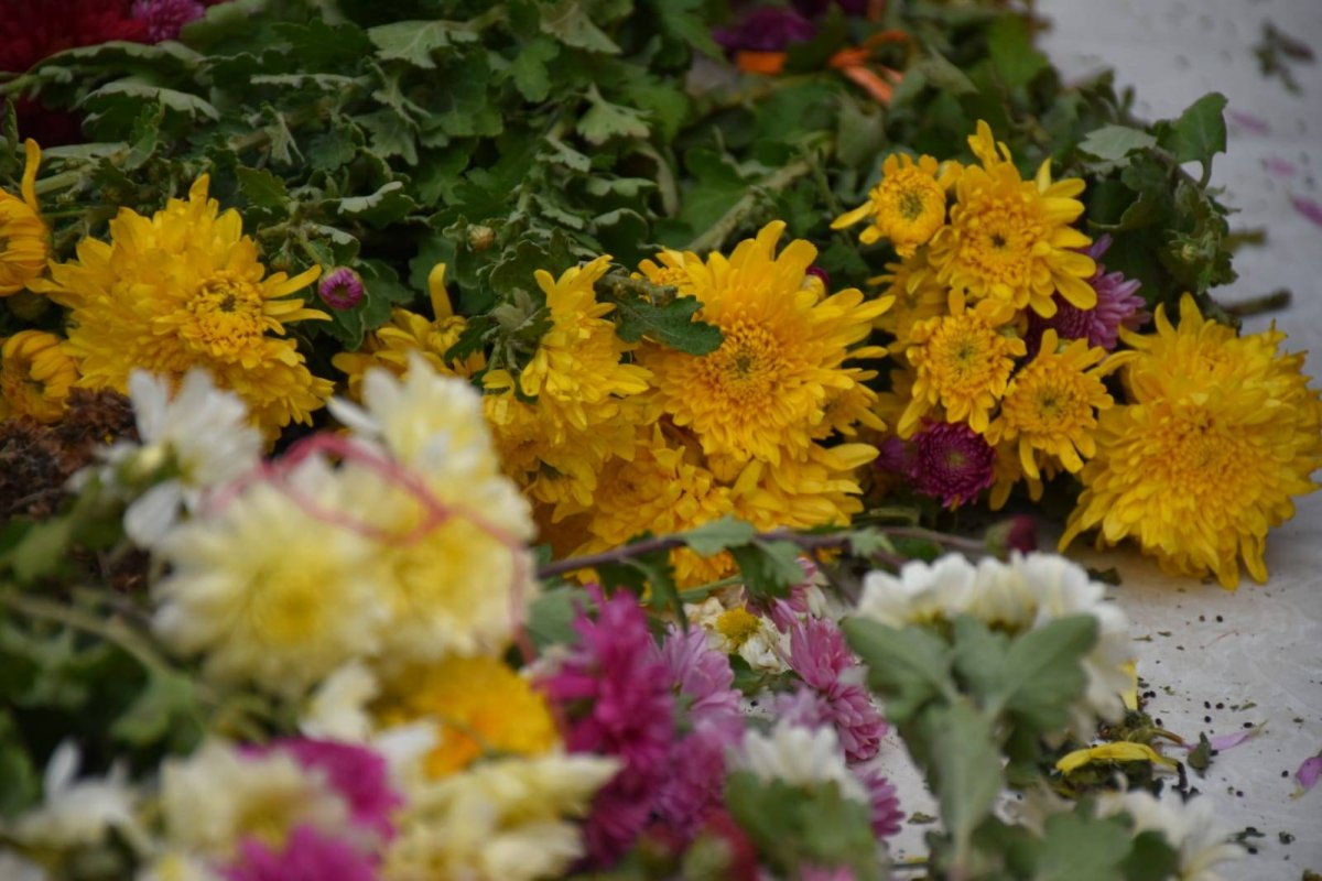 Liturghie arhierească de prăznuirea Mucenicului Dimitrie 130445