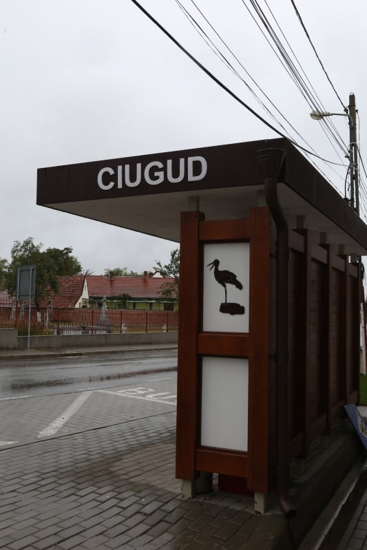 Ciugud. Imposibil  pentru mulţi, firesc pentru cei integri 129883