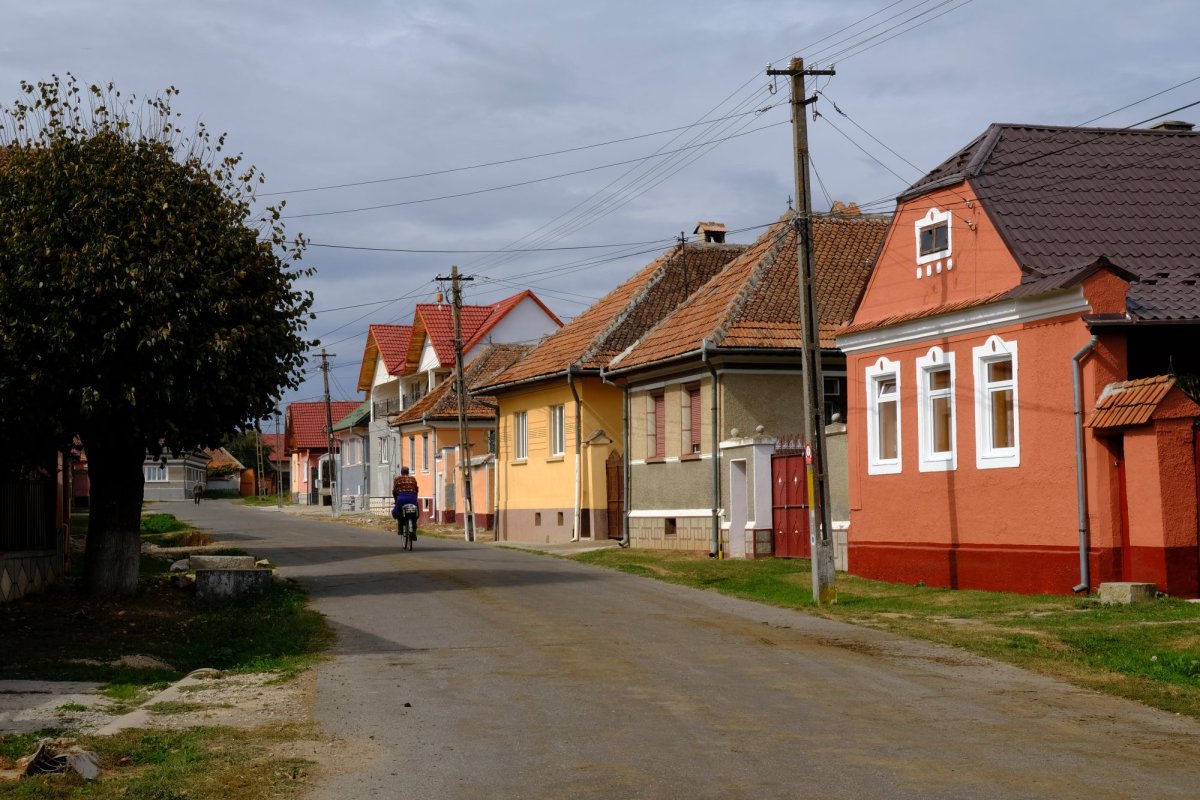 Vlădeni, izvorul unui fluviu de teologie românească 129811