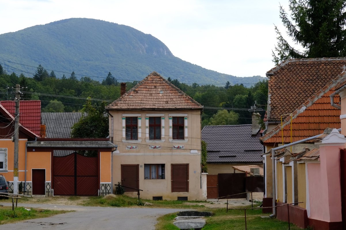 Vlădeni, izvorul unui fluviu de teologie românească 129814